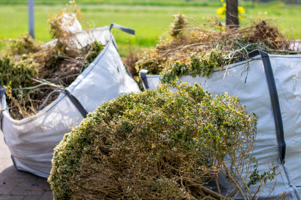 Best Construction Debris Removal  in Wacousta, MI
