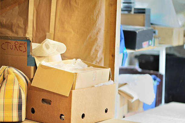 Best Household Junk Removal  in Wacousta, MI
